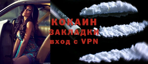 МДПВ Каменка