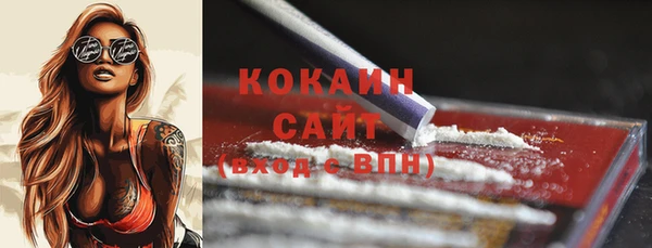 МДПВ Каменка