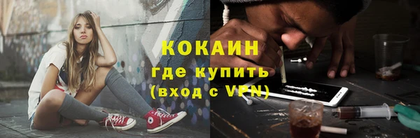 МДПВ Каменка