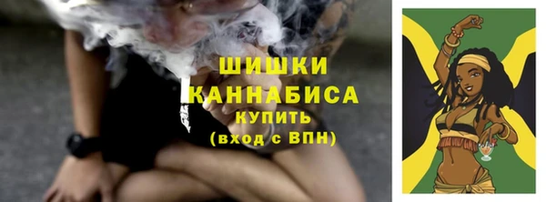 МДПВ Каменка