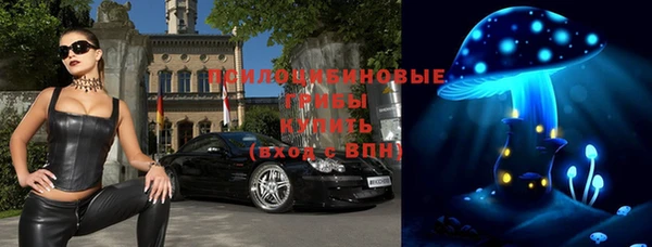 МДПВ Каменка
